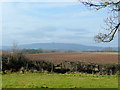 View south-west from the Okle Green road