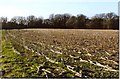 Ramsbury Corner ? Iron-age Hillfort