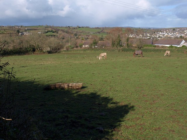 Field, Churchtown Farm