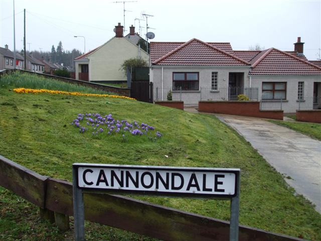 Cannondale, Omagh