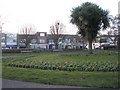 Flowerbeds at the western end of Bransbury Park