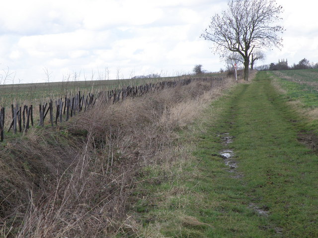 Byway towards Leighton Bromswold