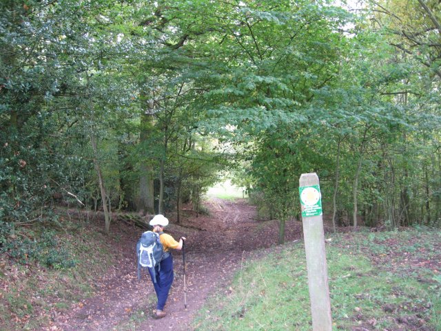 Hereford trail near Bacton