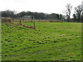 View south to old nursery on Marringdean road