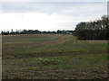 View across the fields towards Doghouse Farm