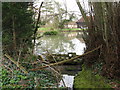 Pond at South House Farm