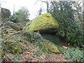 Moss-covered boulder, near Lustleigh