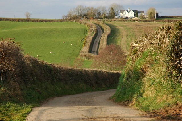 Country road near Hill Barton