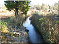 Rickmansworth: Town Ditch (6)