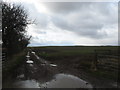 Wet and muddy field track at Blakelaw Farm