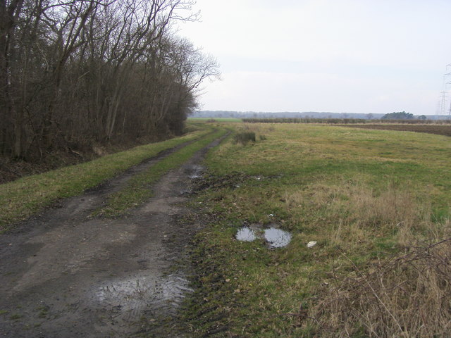Perry West Wood