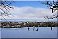 Trull Village from Cotlake