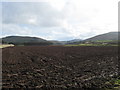 NT8733 : Freshly ploughed field near Thornington by James Denham