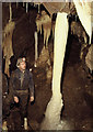 Withyhill Cave, Stoke St Michael, Somerset