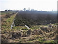 Across the fields to Little Staughton Church