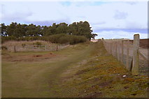 NO4652 : View of footpath leading from Whitehills, Forfar to Lunanhead by Alan Morrison