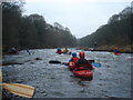 Raintonpark Wood rapid