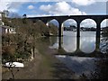 Coombe Viaduct