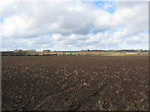 NT8138 : Recently ploughed field by James Denham