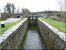 N9137 : Royal Canal 14th Lock & Jackson's Bridge, Co. Kildare by JP