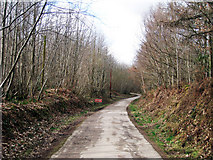 TQ7433 : Access Road through Bedgebury Forest by Oast House Archive