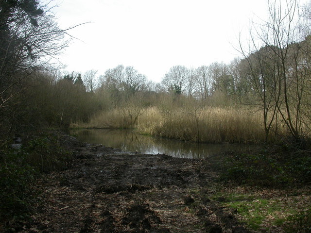 Bourne Valley Nature Reserve, pond