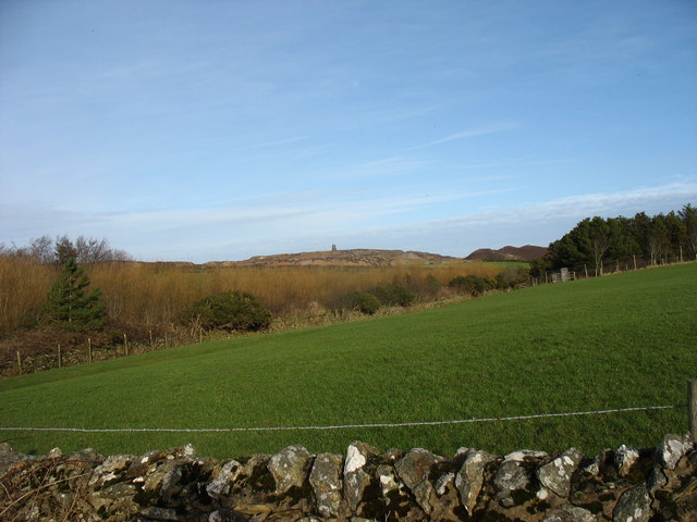 View across pastureland and coverts towards Mynydd Parys