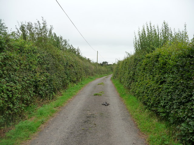Mid Devon : Country Road