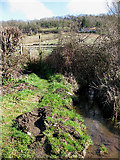 SO5834 : Brook draining from Common Hill by Pauline E