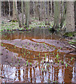 Reflections in rusty water