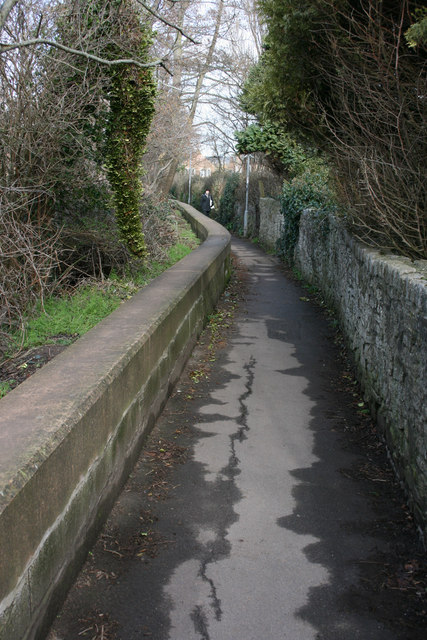 Roughmoor path, Taunton.