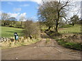 Wester Lane near Brassington