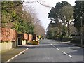 Grove Road - viewed from Beverley Rise