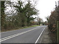 Signpost for The Blue Idol on the A 272 at Coneyhurst