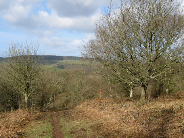 Track on Broomfield Hill © Ken Grainger :: Geograph Britain and Ireland