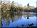 Pond near Cullen House