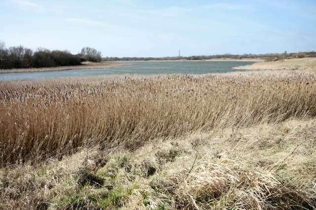 Marton Mere, Reedbeds and Blackpool Tower