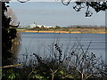 Looking NE across Stonar Lake towards Pfizer