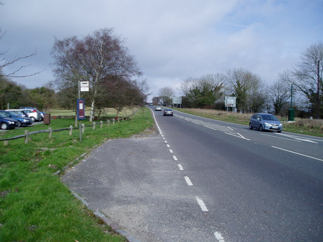 Bus stop, south approach to Bury Hill (A29)
