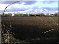 Warwick Technology Park from Gallows Hill