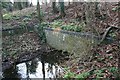 Culvert under the road