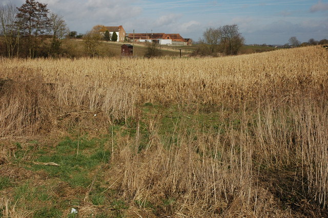 Downrip Farm, Hinton on the Green