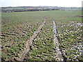 Sodden field, near Downland Farm