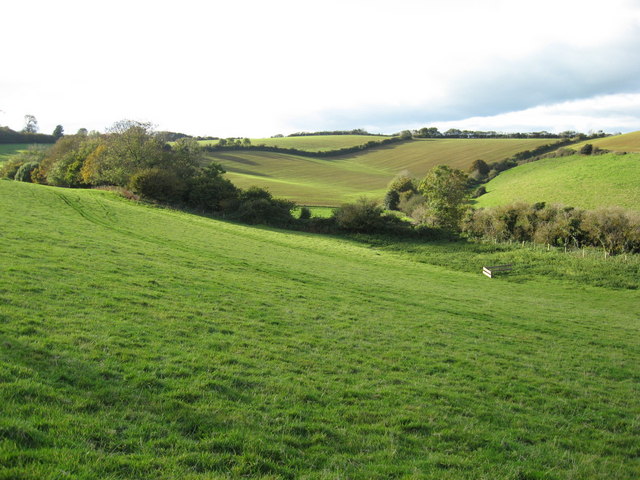 From the Northern slope of Colmers Hill, looking to the Northwest