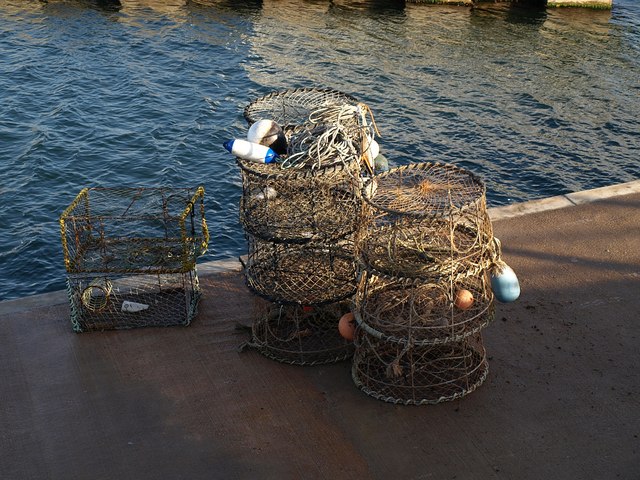 Lobster / crab pots, Torquay
