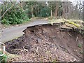 A land-slip at Chatelherault Country Park