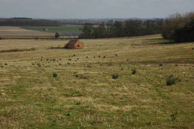 Uncultivated land near Aston Somerville