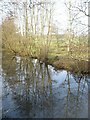 Looking eastwards from the bridge over Eastwell Lake