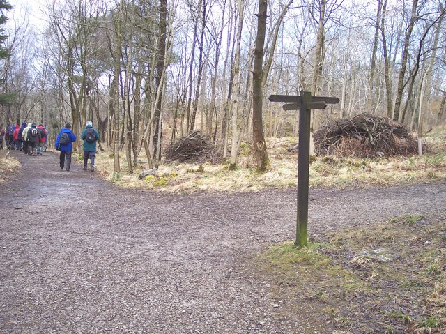 Pathway crossing in Grass Wood