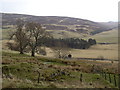 View to Hillock farm